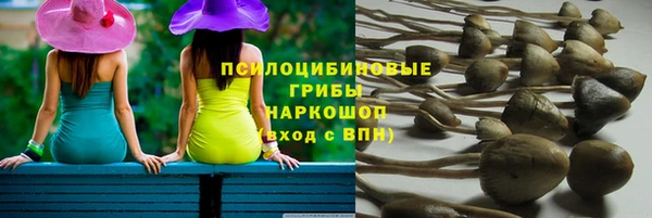 jwh Володарск