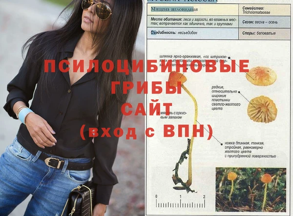 гидра Вязники