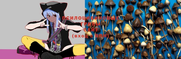 MDMA Вязьма