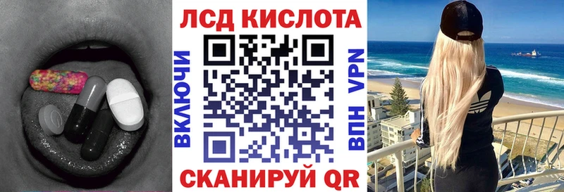 купить наркоту  Ельня  KRAKEN зеркало  Лсд 25 экстази кислота 