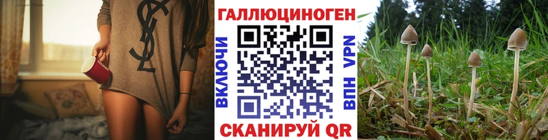 Псилоцибиновые грибы прущие грибы  Ельня 